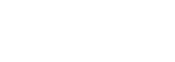 Dolphin Markets Ltd logo